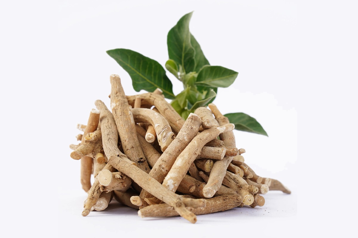 Benefits of Ashwagandha1