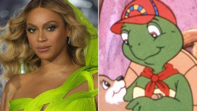 Beyoncé's resemblance to a turtle