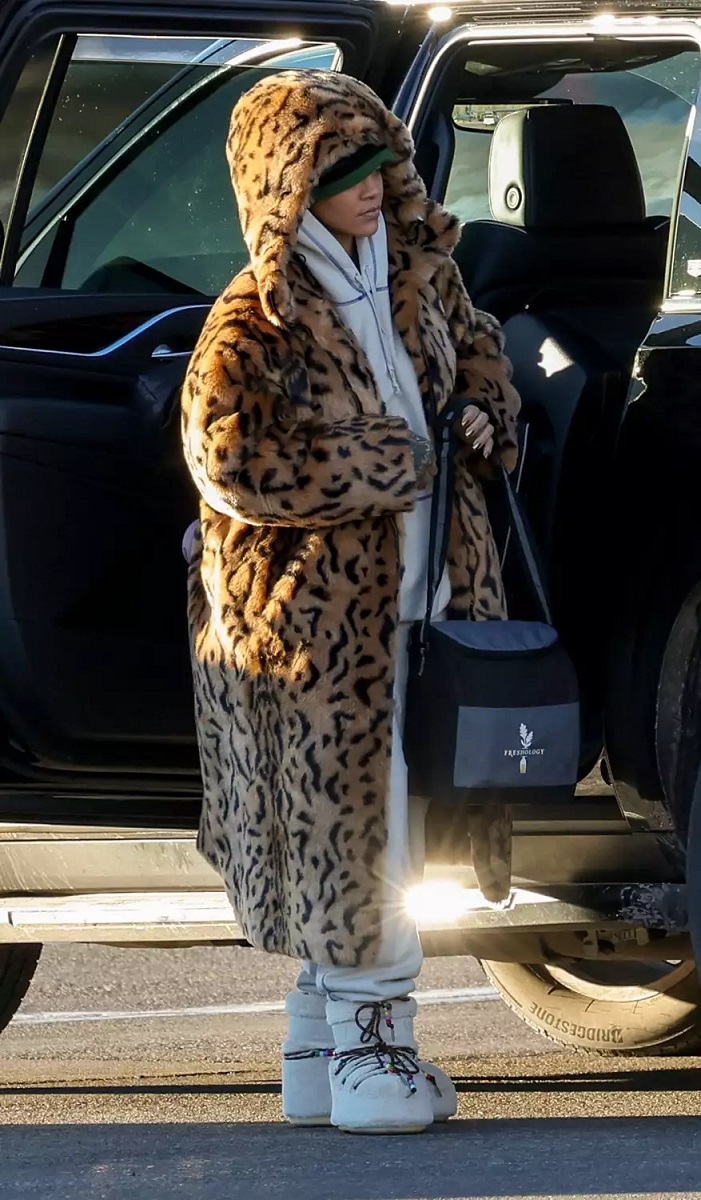 Animal Print Style of Hollywood Stars3