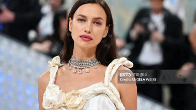 Biography of Irina Shayk