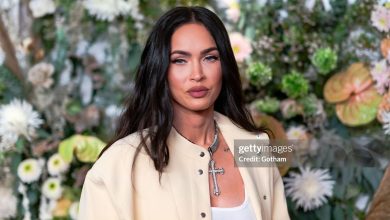 Biography of Megan Fox