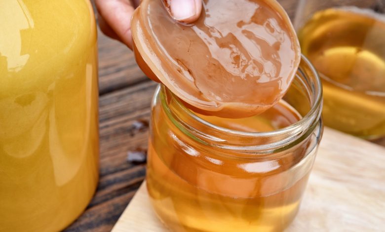 Kombucha tea for weight loss