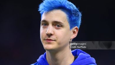 Ninja online streamer