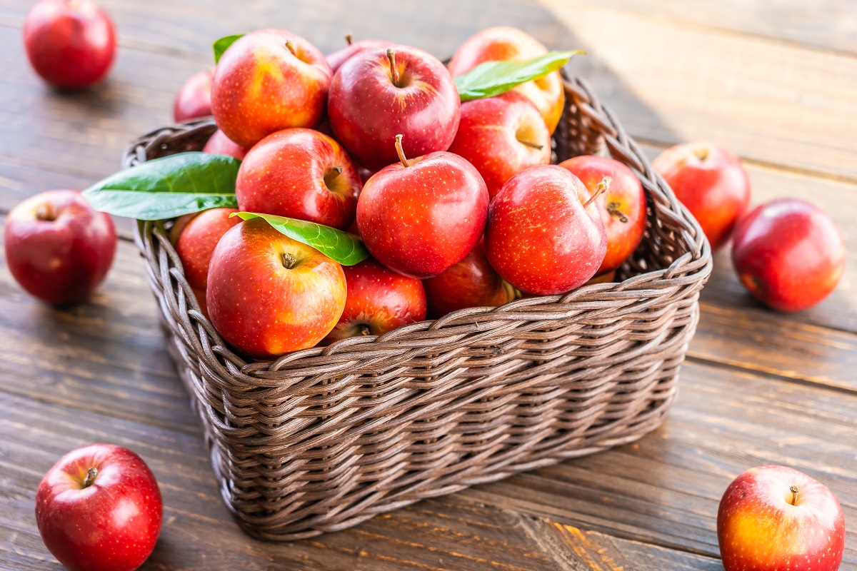 fruit diet for weight loss- Apples