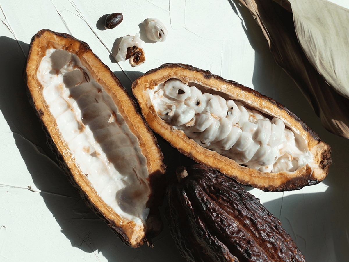 Benefits of Cocoa Butter for Skin1