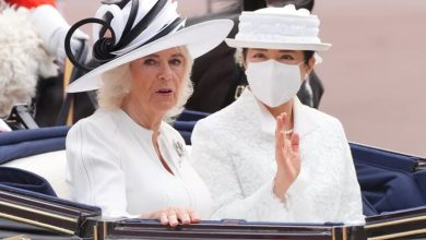 Masking the Queen of Japan