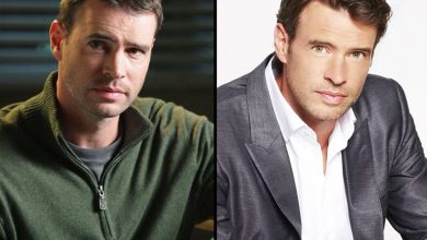 Biography of Scott Foley