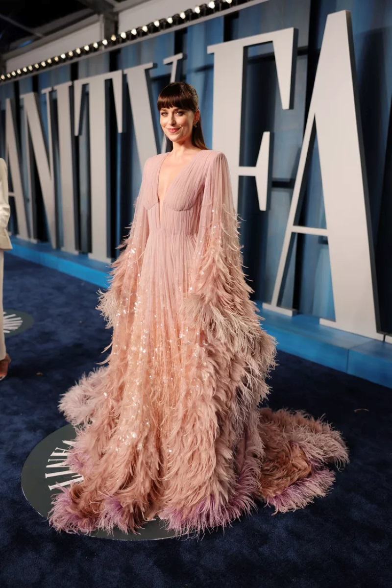 Dakota Johnson's 10 best dresses4