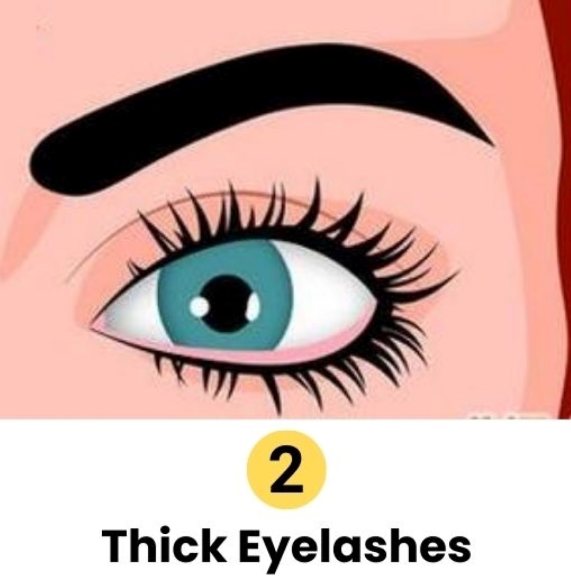 Eyelash personality test- thick eyelashes