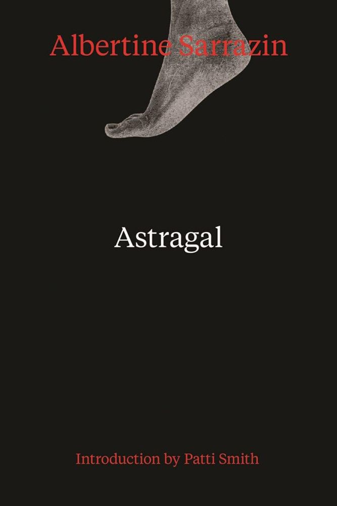 Astragal book cover