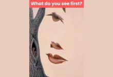 Optical Illusion Personality Test