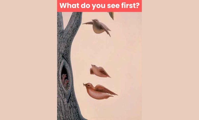 Optical Illusion Personality Test