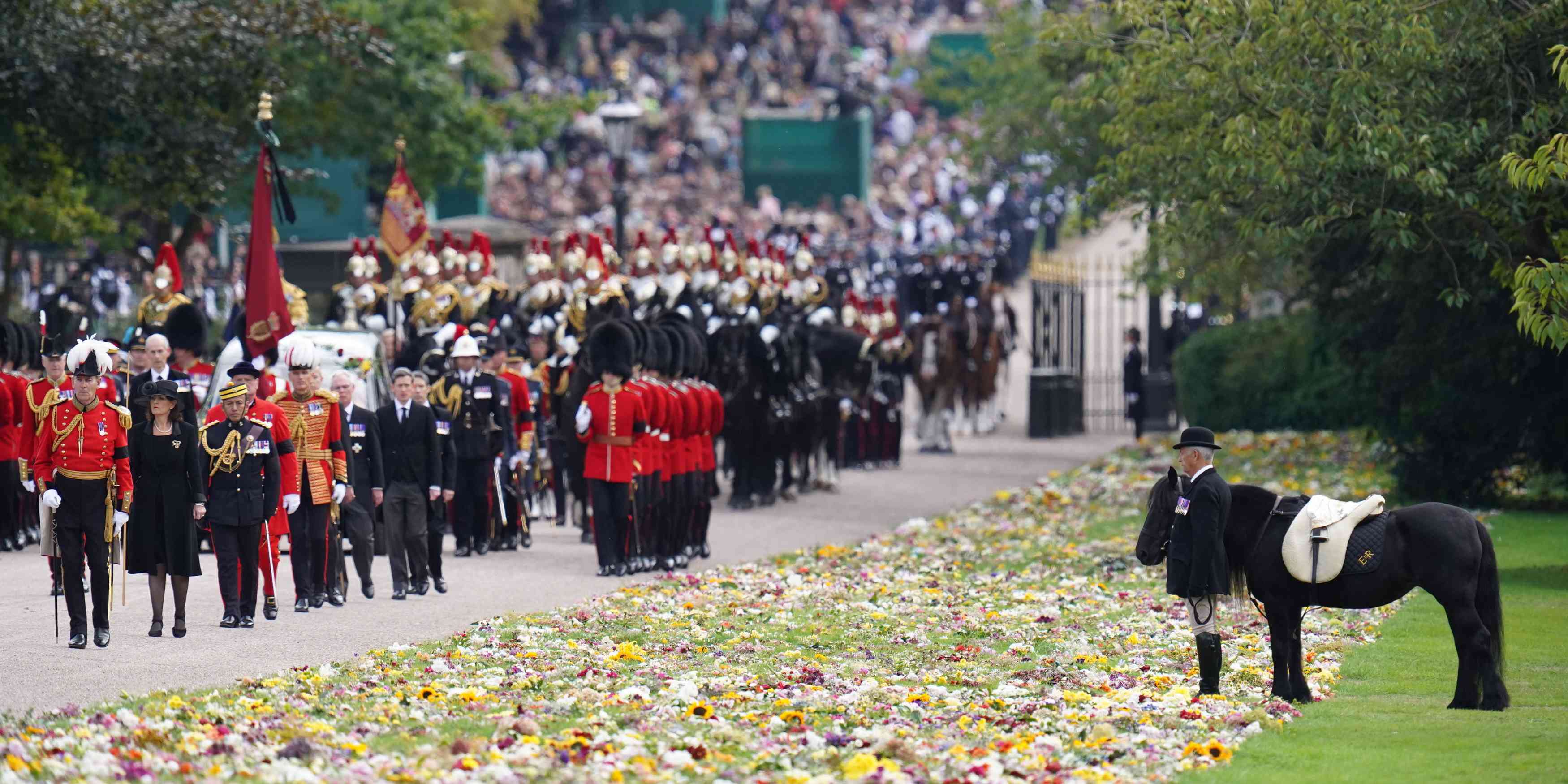 Funeral Procession for Queen Elizabeth II at St George's Chapel, Elizabeth's Fell Pony Emma Standing in the Grass