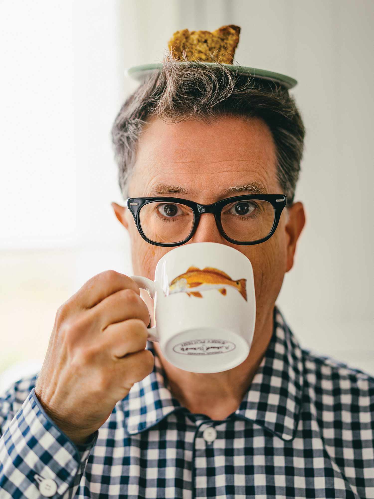 Stephen Colbert Cookbook photos