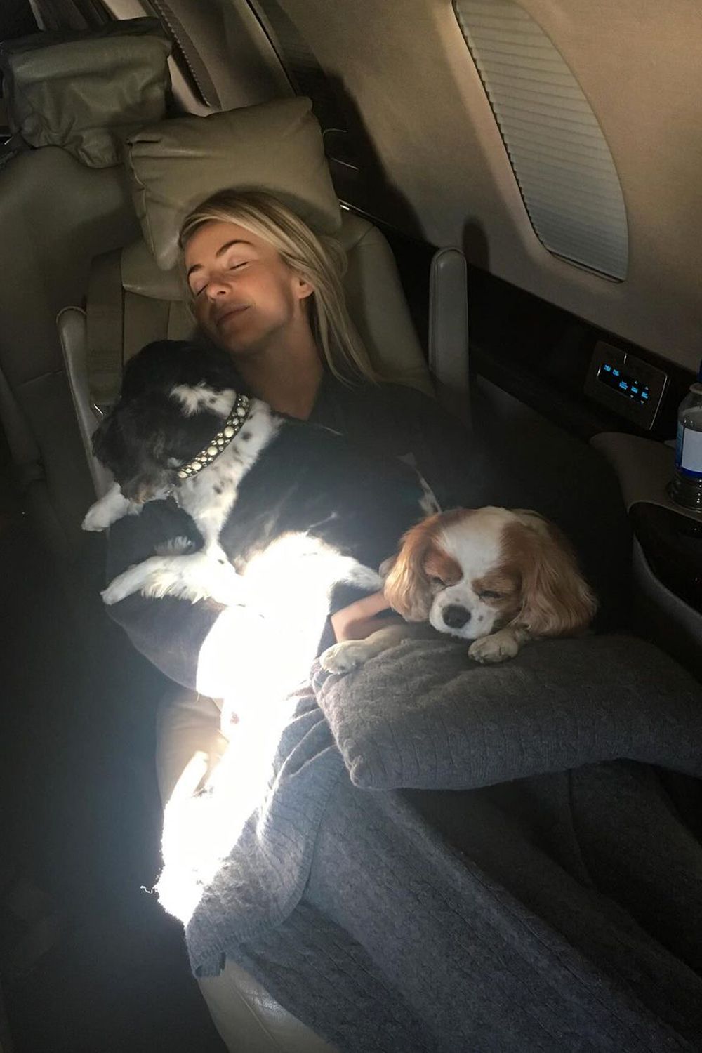 Julianne Hough, Dogs, Lexi, Harley, Instagram