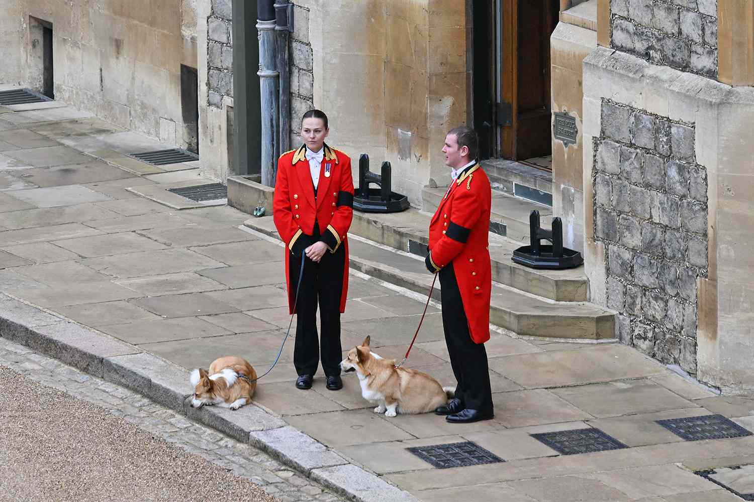 The Queen's corgis, Muick and Sandy are walked inside Windsor Castle on September 19, 2022, ahead of the Committal Service for Britain's Queen Elizabeth II.