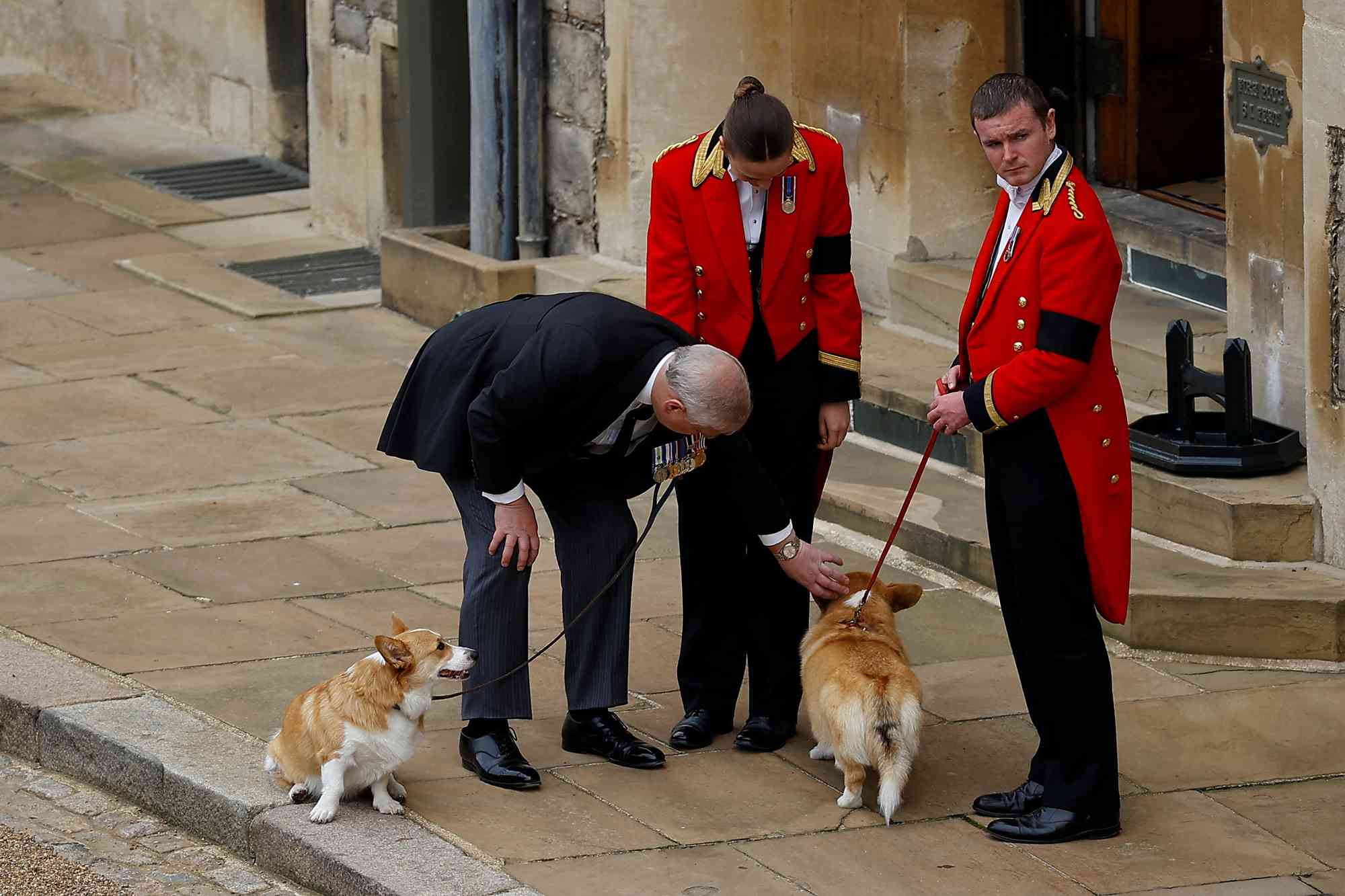 Prince Andrew, Duke of York pets the royal corgis as they await the the coffin of Queen Elizabeth II as it travels on its way to Windsor Castle for the Committal Service at St George's Chapel on September 19, 2022 in Windsor, England. The committal service at St George's Chapel, Windsor Castle, took place following the state funeral at Westminster Abbey. A private burial in The King George VI Memorial Chapel followed. Queen Elizabeth II died at Balmoral Castle in Scotland on September 8, 2022, and is succeeded by her eldest son, King Charles III.