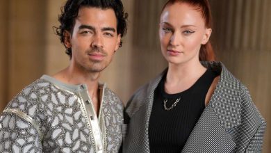 Joe Jonas and Sophie Turner's Relationship Timeline