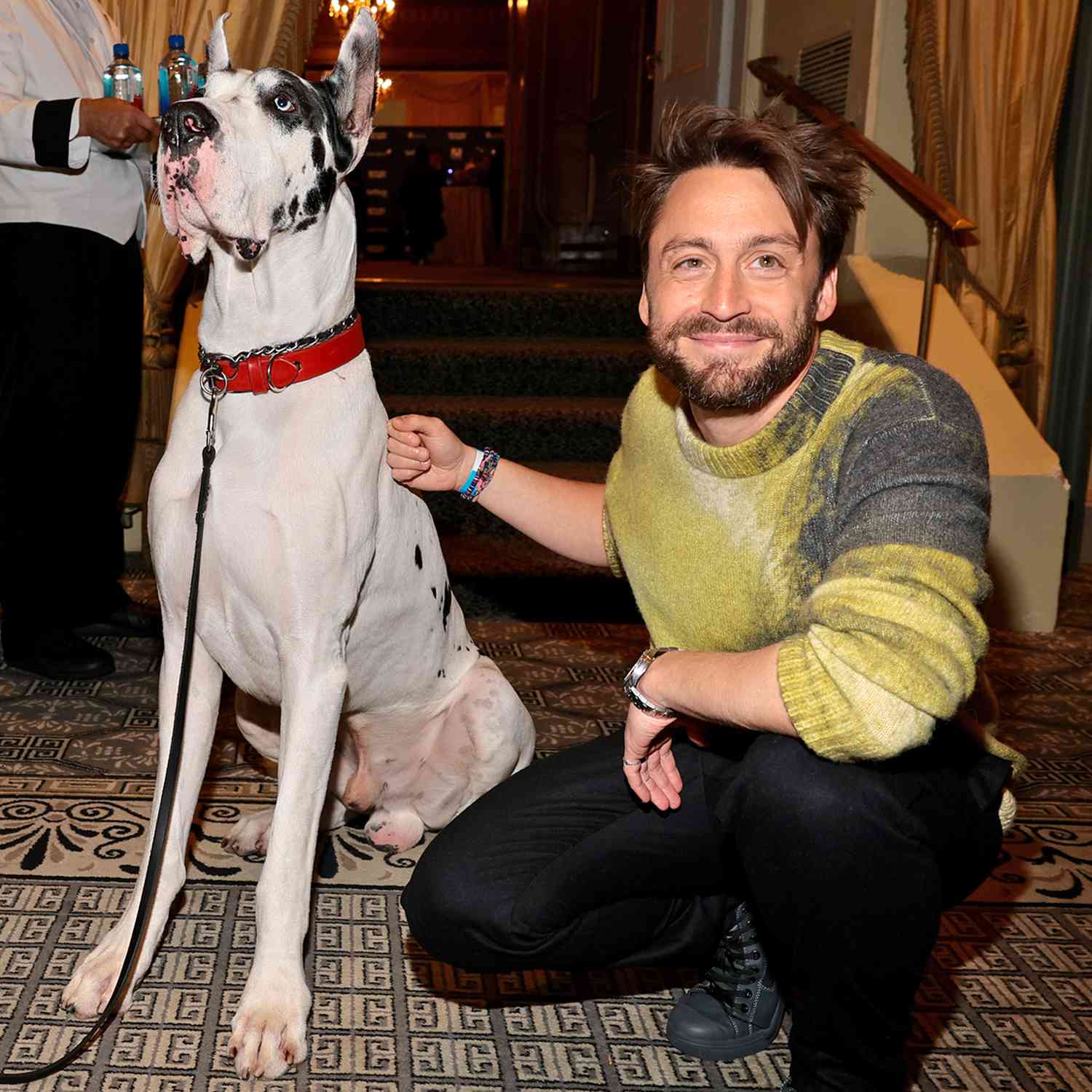 Bing the dog and Kieran Culkin attend The 2024 BAFTA NYC Tea Party presented by Delta Air Lines, Virgin Atlantic, and FIJI Water Sponsored By Britbox, Heineken, Taittinger and The Pierre at The Pierre Hotel on October 06, 2024 in New York City. 