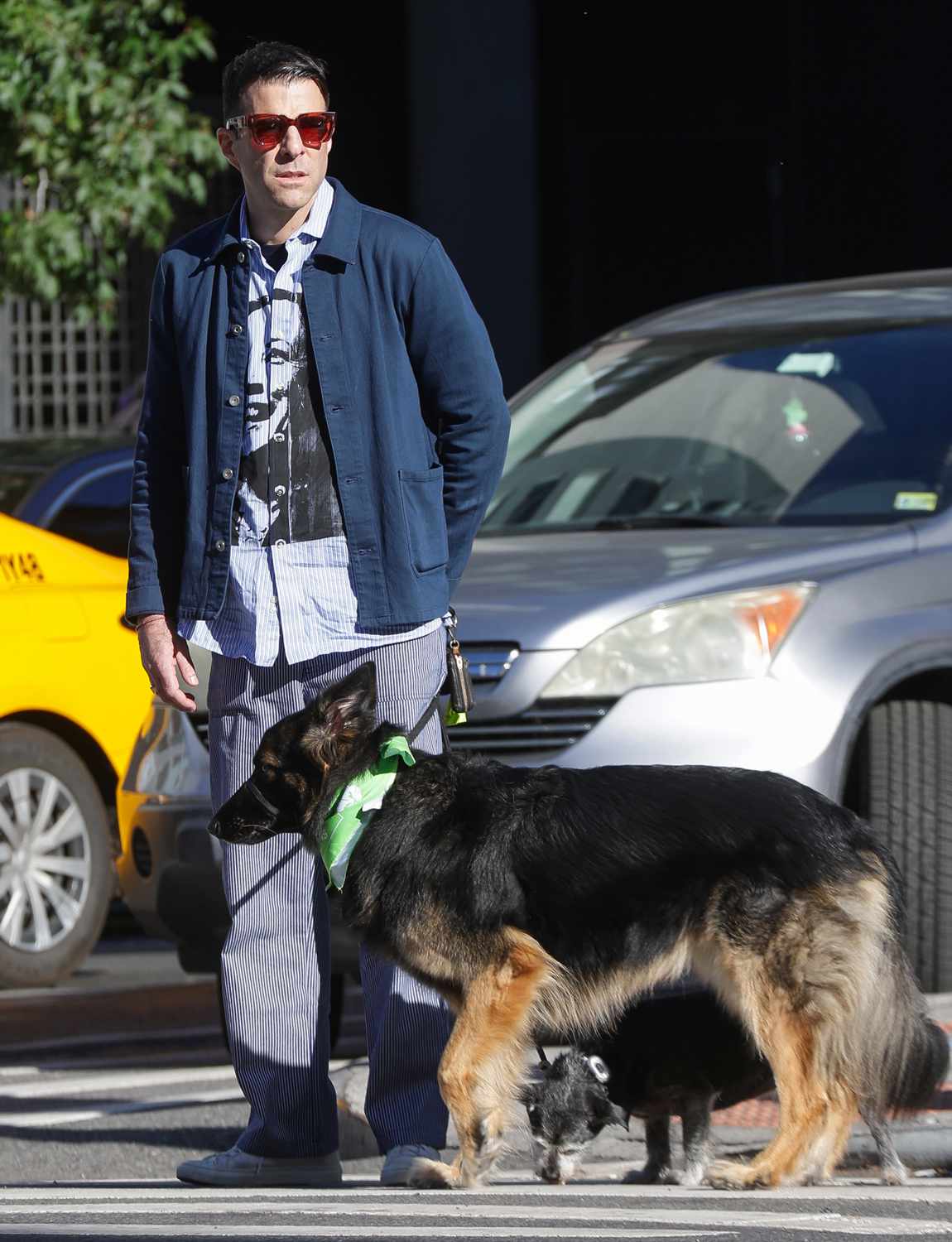 Zachary Quinto is spotted on a dog walk in New York City