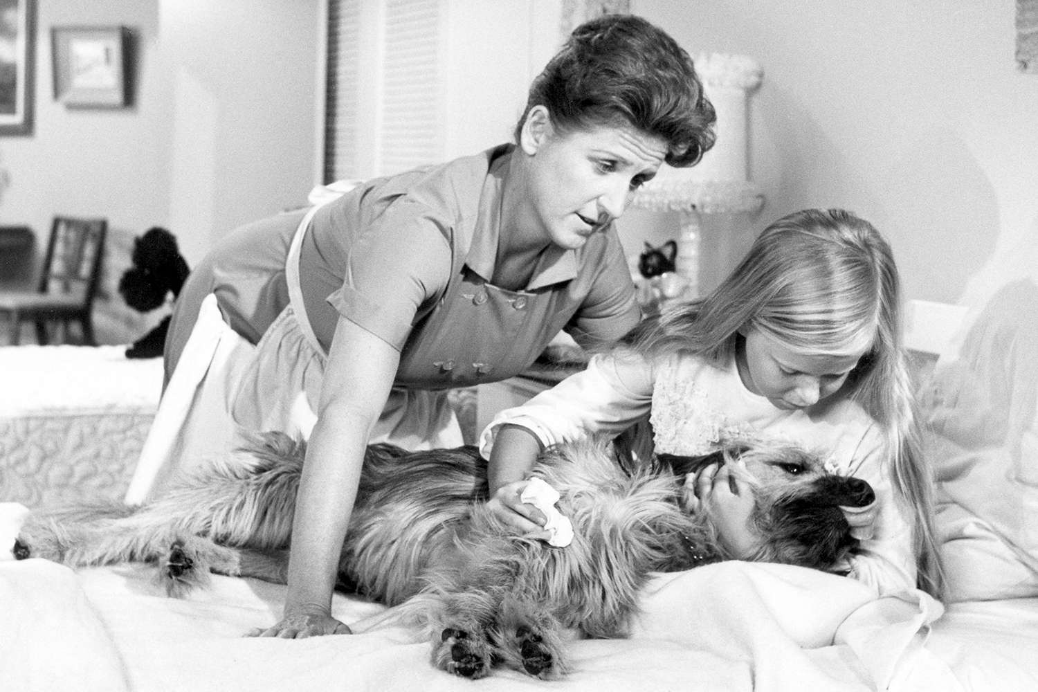 The Brady Bunch Tiger the Dog Ann B. Davis Eve Plumb 