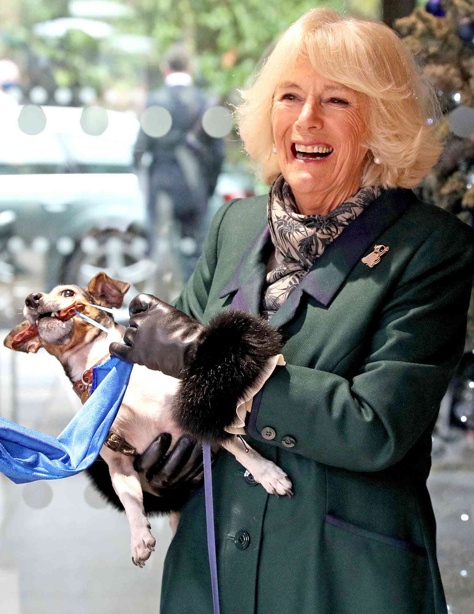 Camilla, Duchess of Cornwall with Beth, her jack-russell terrier, unveiling a plaque as they visit the Battersea Dogs and Cats Home to open the new kennels and thank the centre's staff and supporters on December 9, 2020