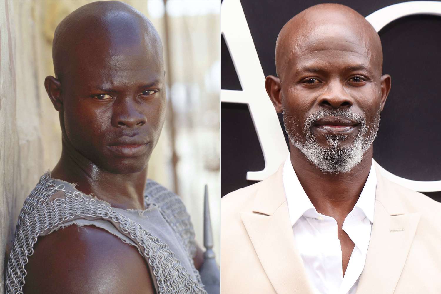 Djimon Hounsou, Gladiator, Where Are They Now