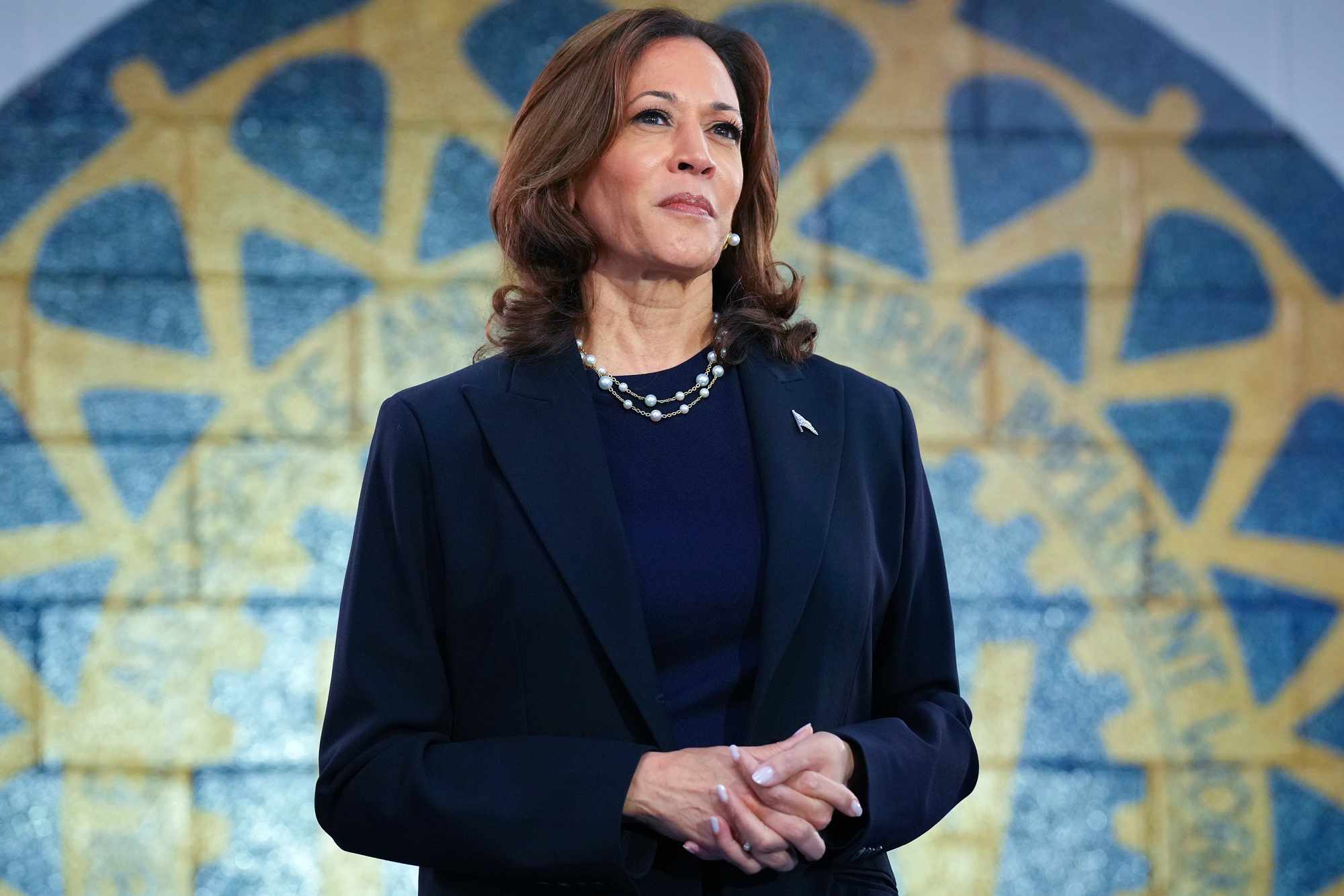 Democratic presidential candidate U.S. Vice President Kamala Harris waits to speak at a campaign rally at United Auto Workers Local 900 on August 8, 2024 in Wayne, Michigan. Kamala Harris and her newly selected running mate Tim Walz are campaigning across the country this week. 