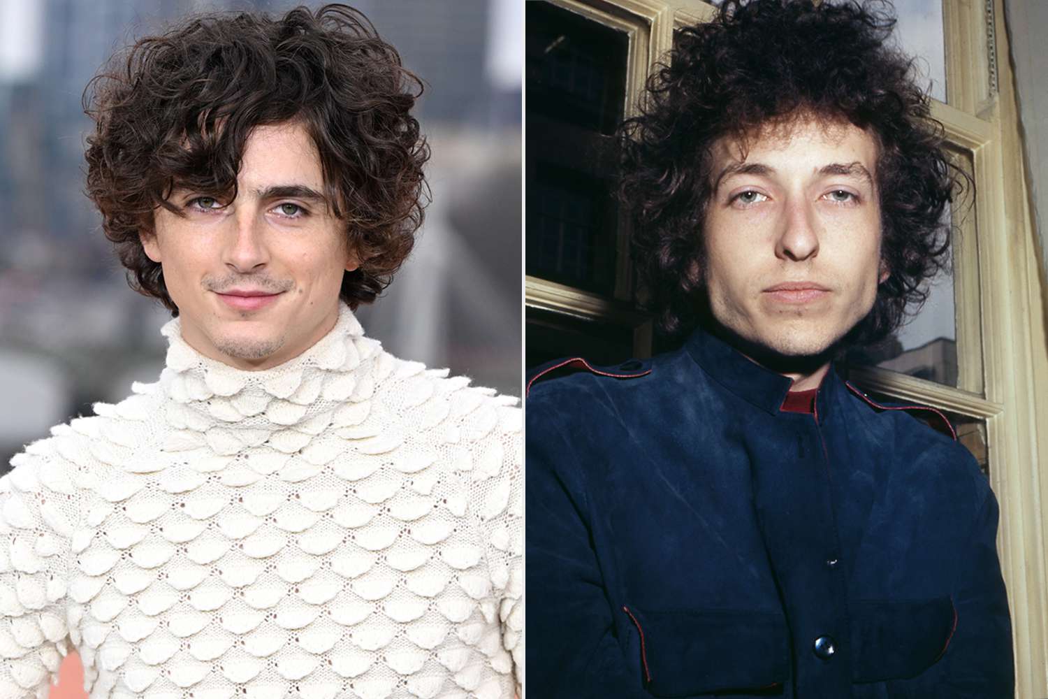 Timothee Chalamet (left); Bob Dylan