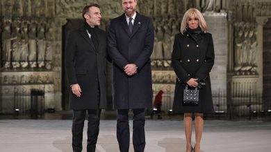 Prince William Attends Notre Dame Reopening After Supporting Kate Middleton at Holiday Event