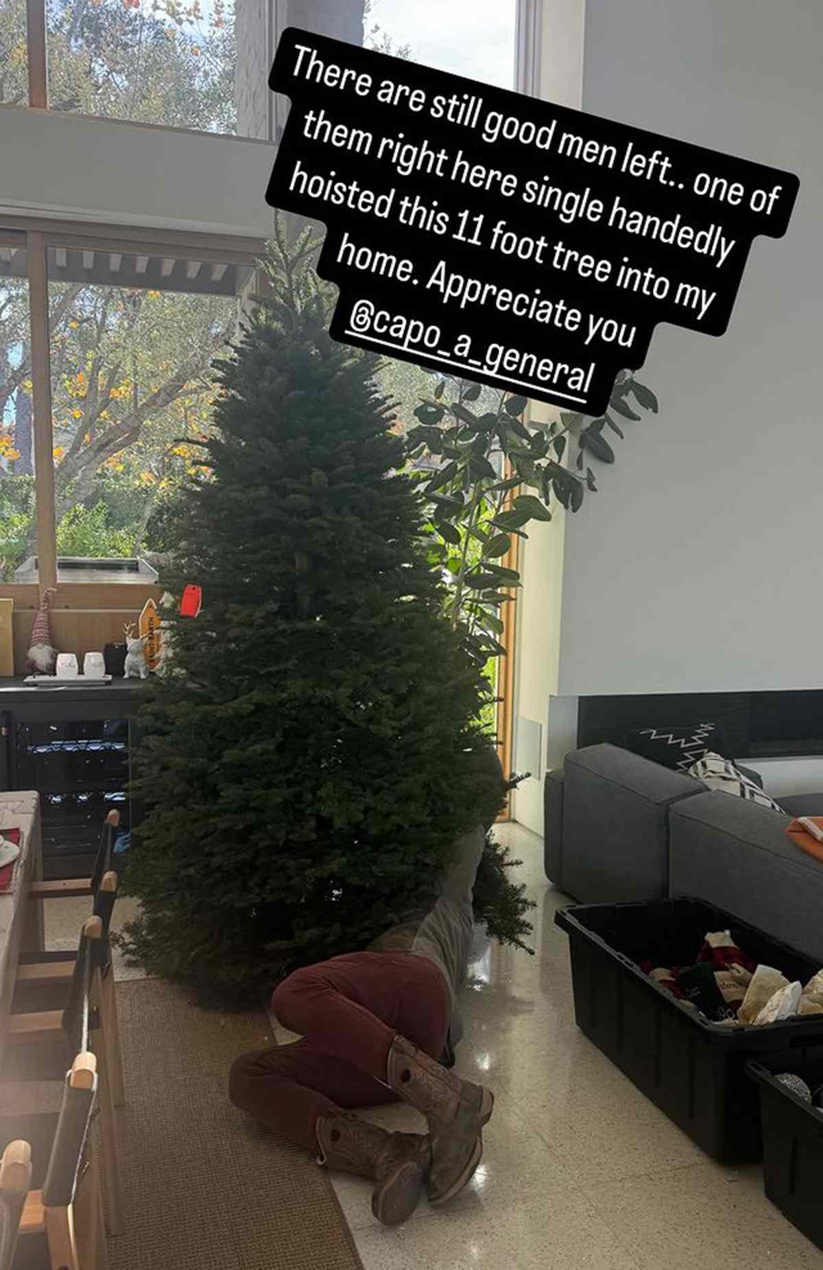 Christina Haack Says 'There Are Still Good Men Left' as Male Pal Helps Her Set Up 11-Foot Christmas Tree