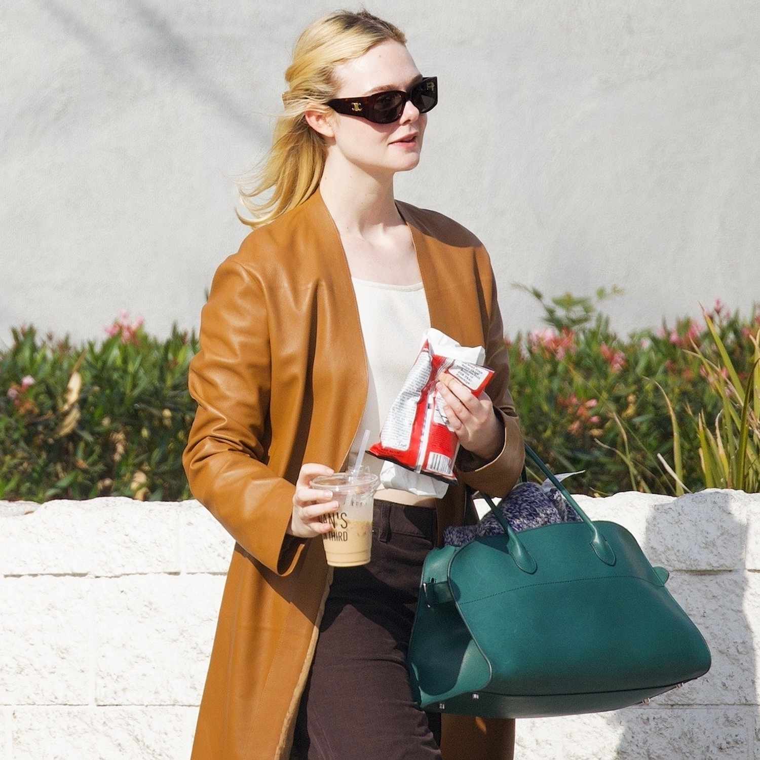 Elle Fanning in Los Angeles on December, 23 2024