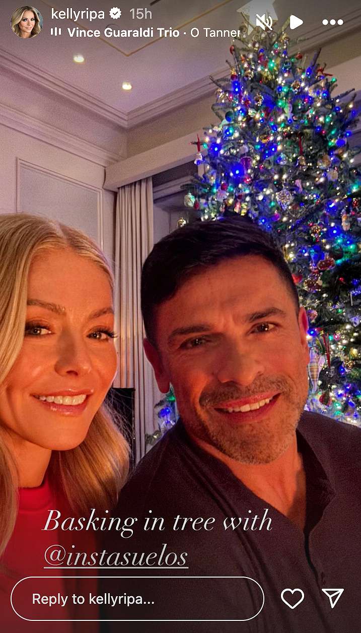 Kelly Ripa christmas tree.