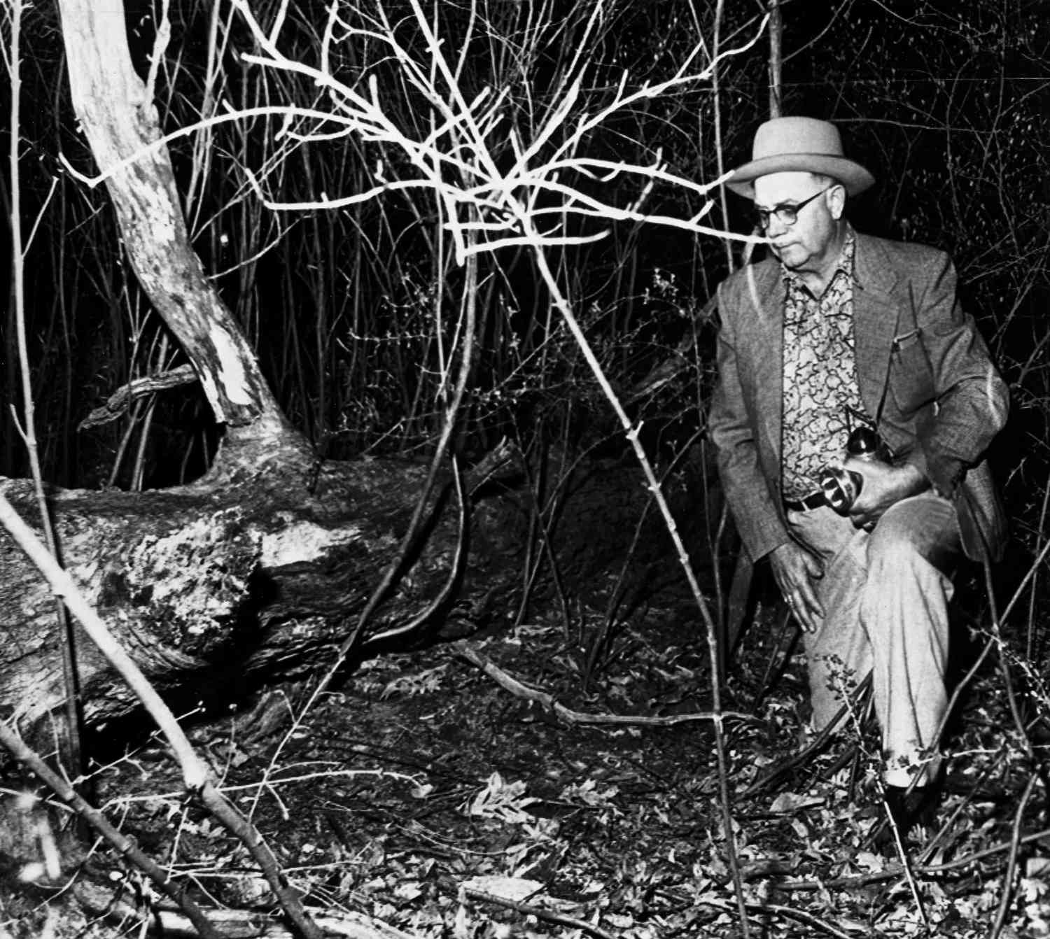 Under this fallen tree the decomposed body of a young girl was found, near Woodbine, Ill., April 26, 1958. The body is thought to be that of Maria Ridulph, 7, who disappeared Dec. 3, 1957, from Sycamore, Ill